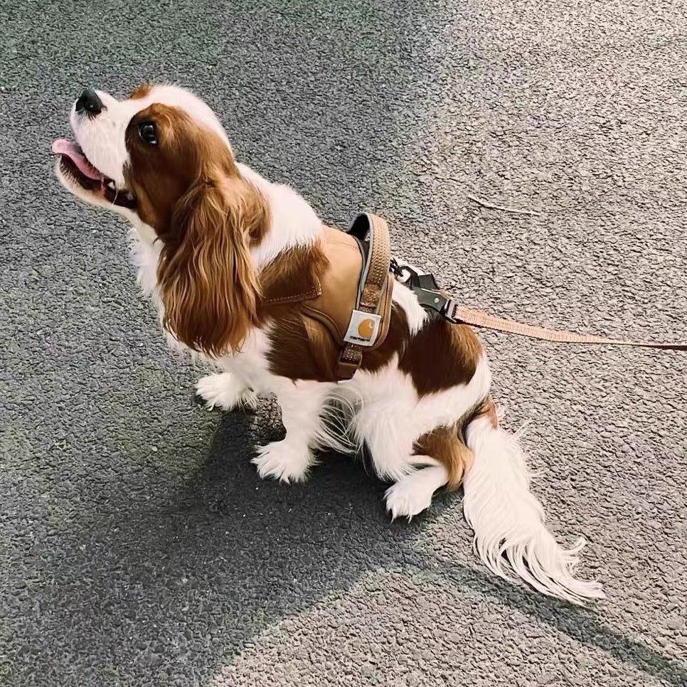 Carhartt pet harness