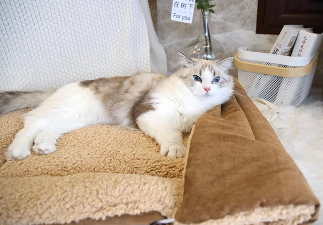 Warm pet nest