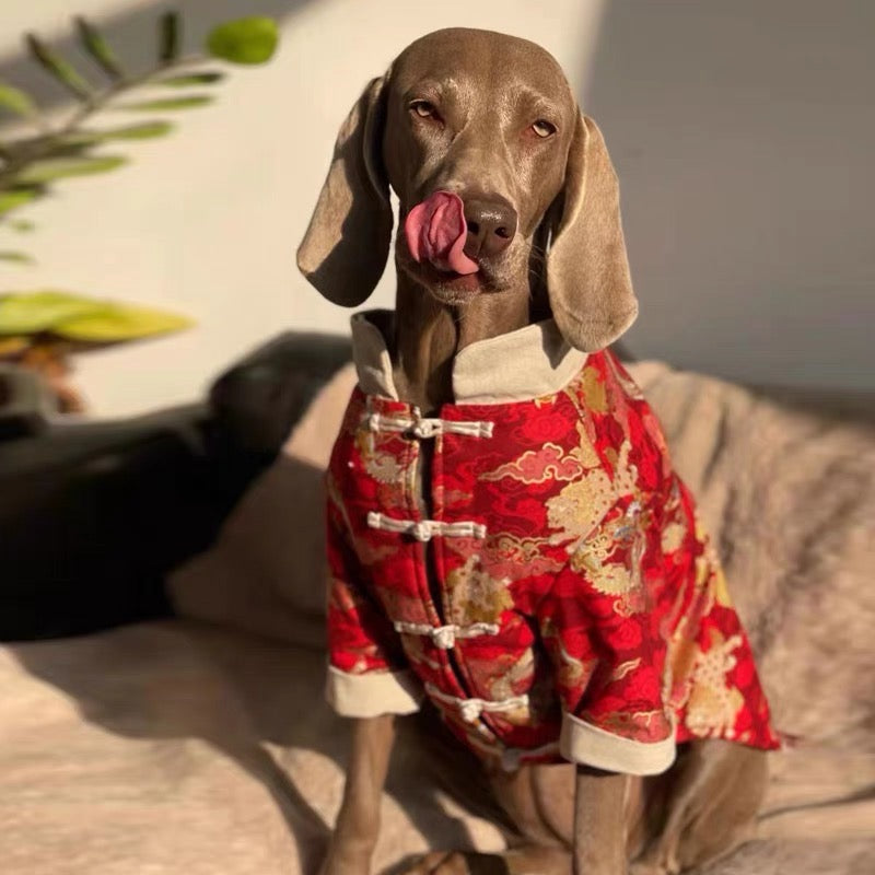 Red CNY clothes for large dog