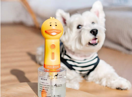 Duck shampoo dispenser