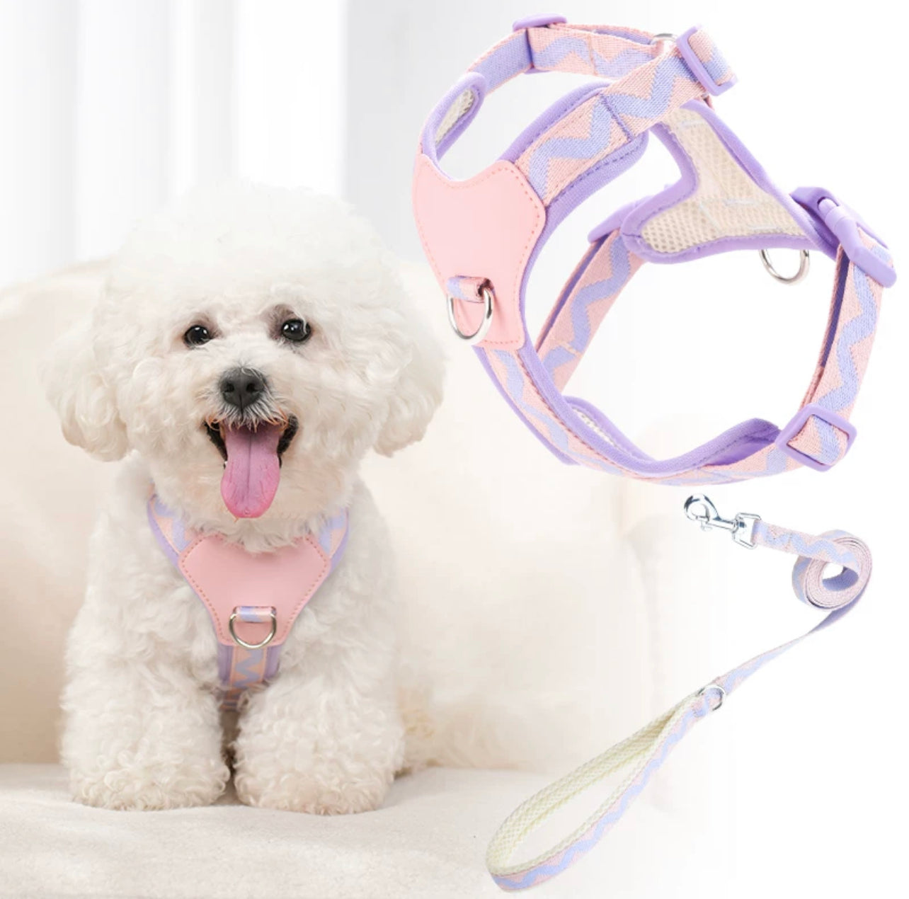 Macaron themed pet harness set