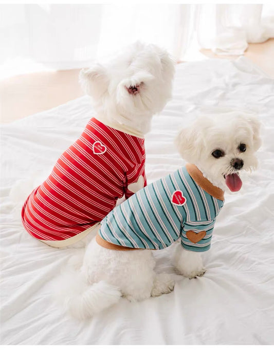 Striped pet clothes