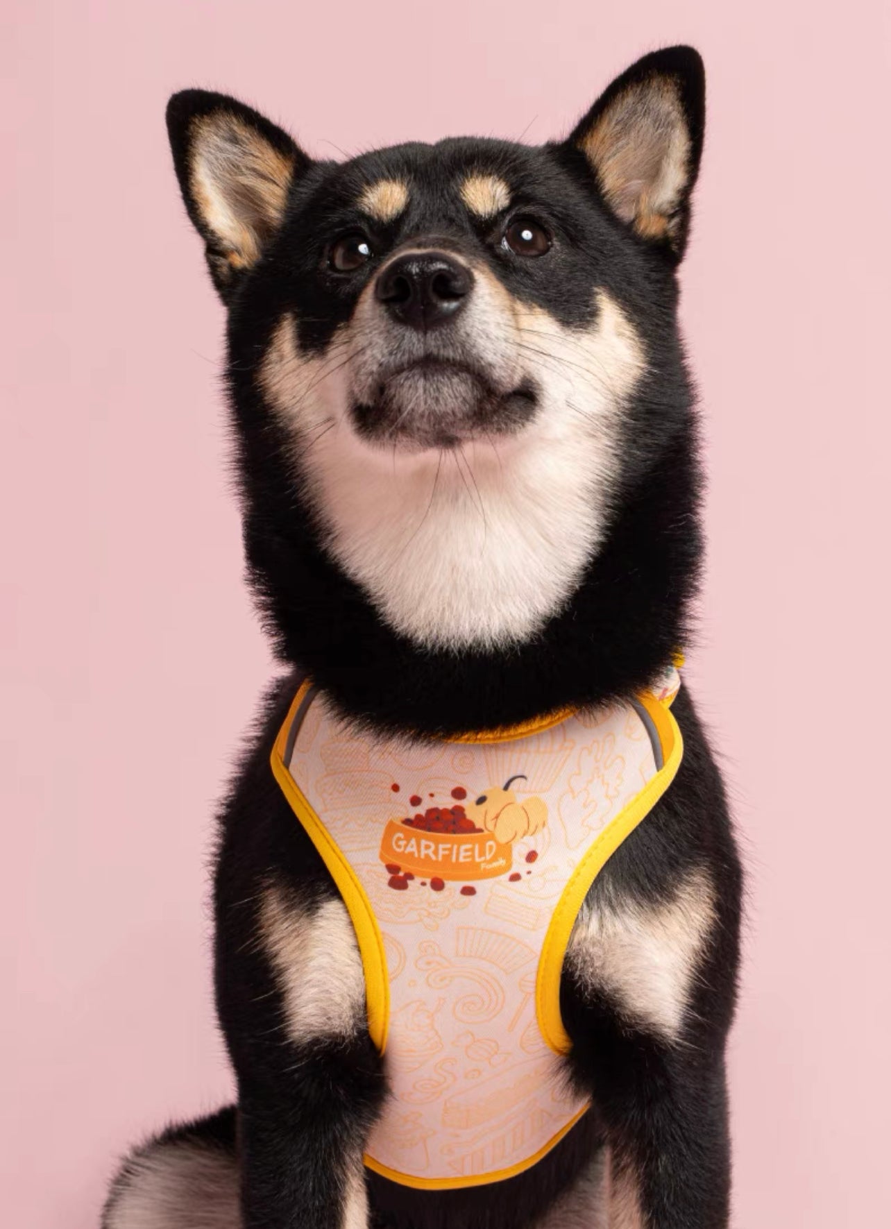 Garfield theme simple design pet harness & leash set