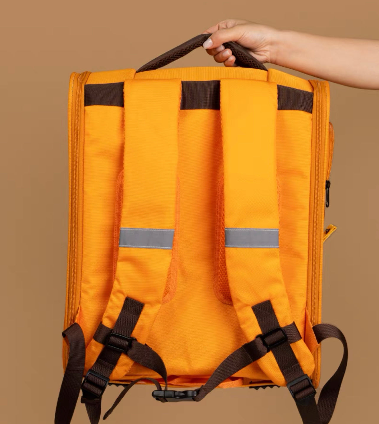 Garfield theme backpack carrier