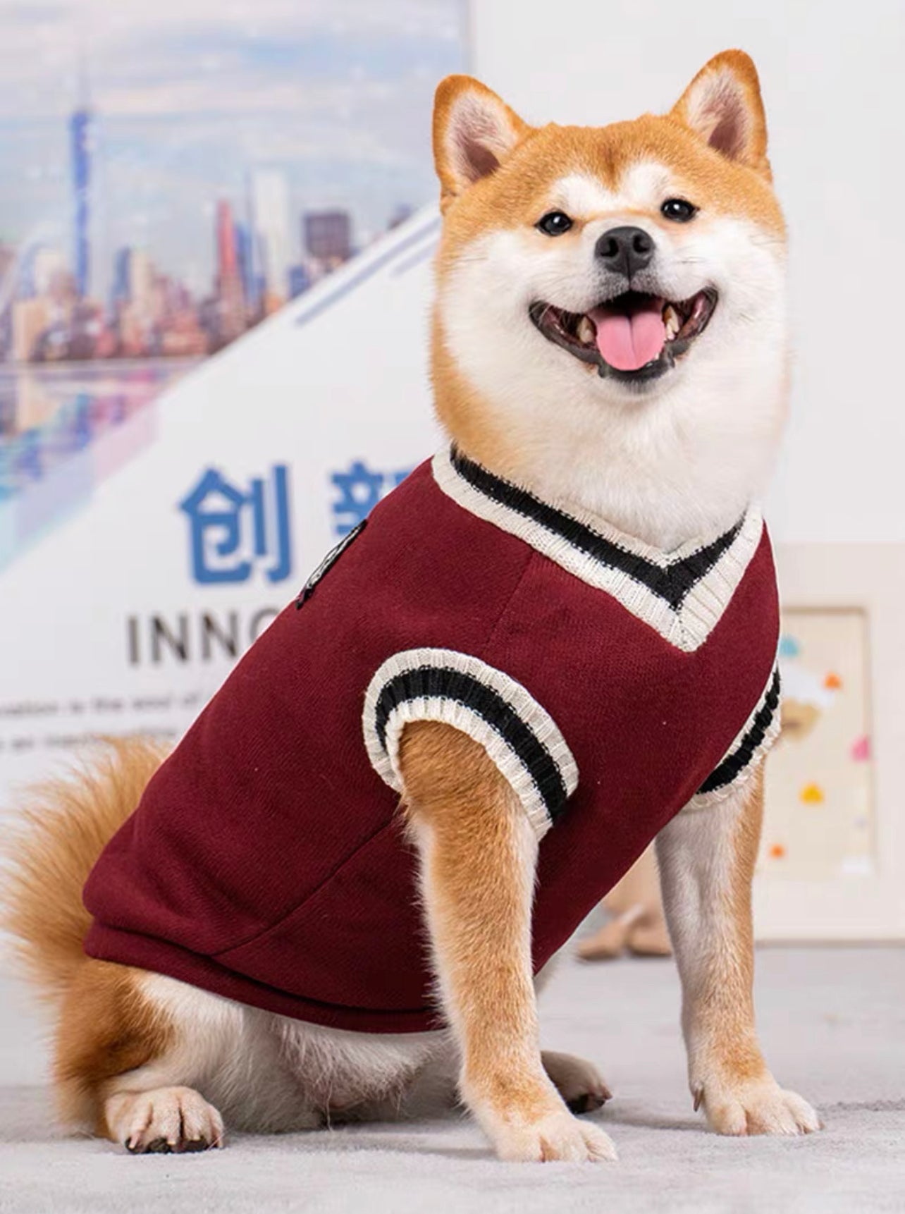 College style pet sweater