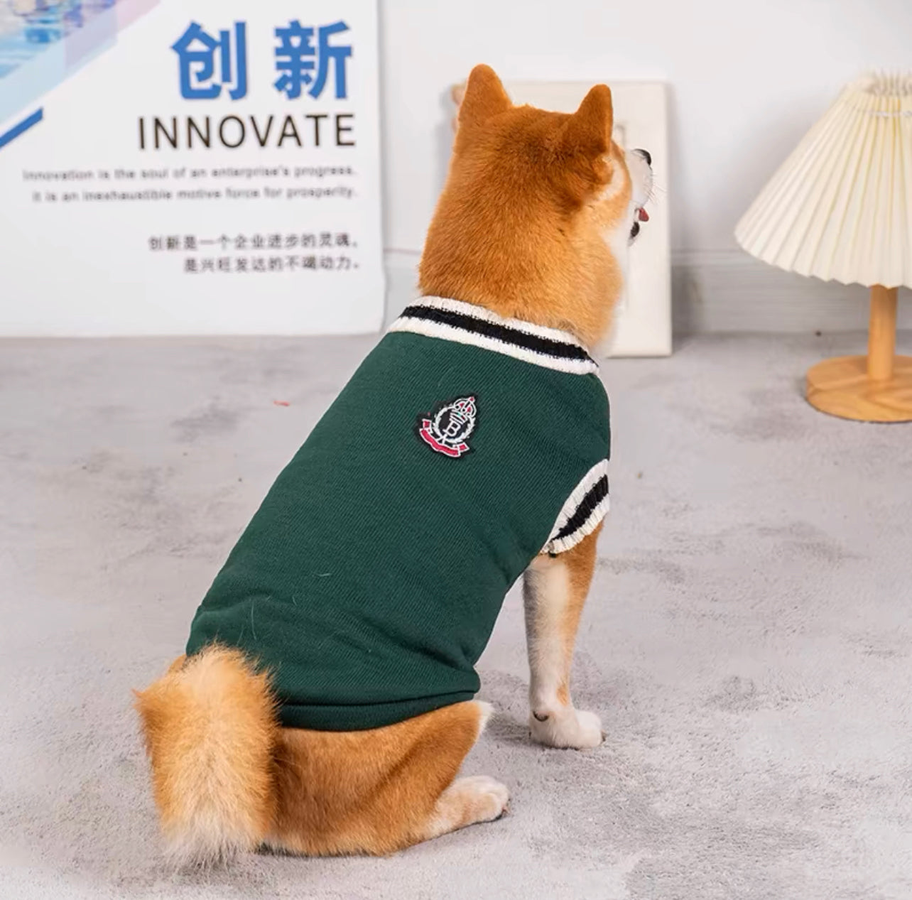 College style pet sweater