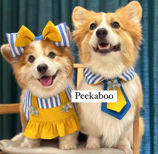 Cute matching collar and tie outfit
