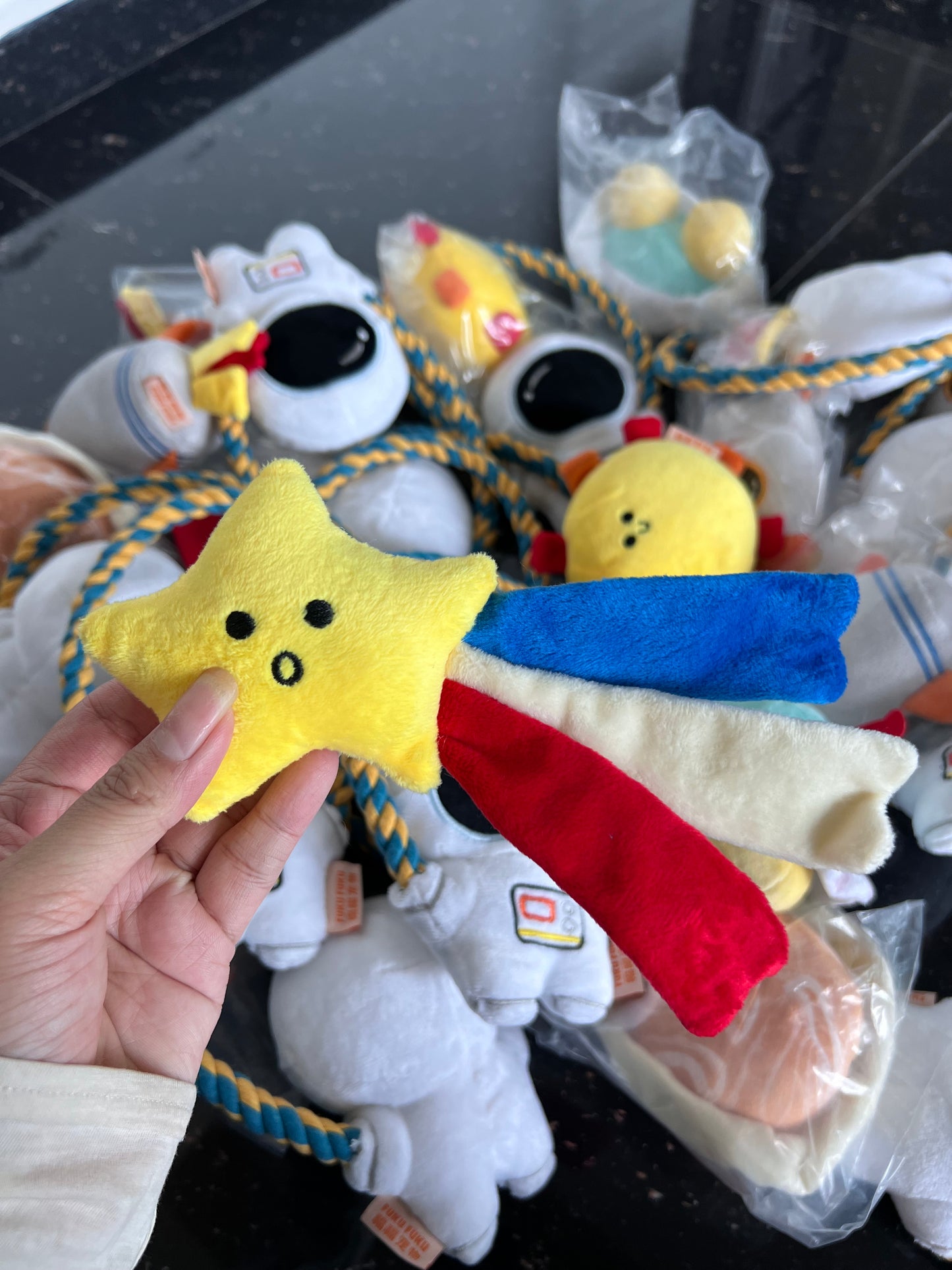 Space series pet toys