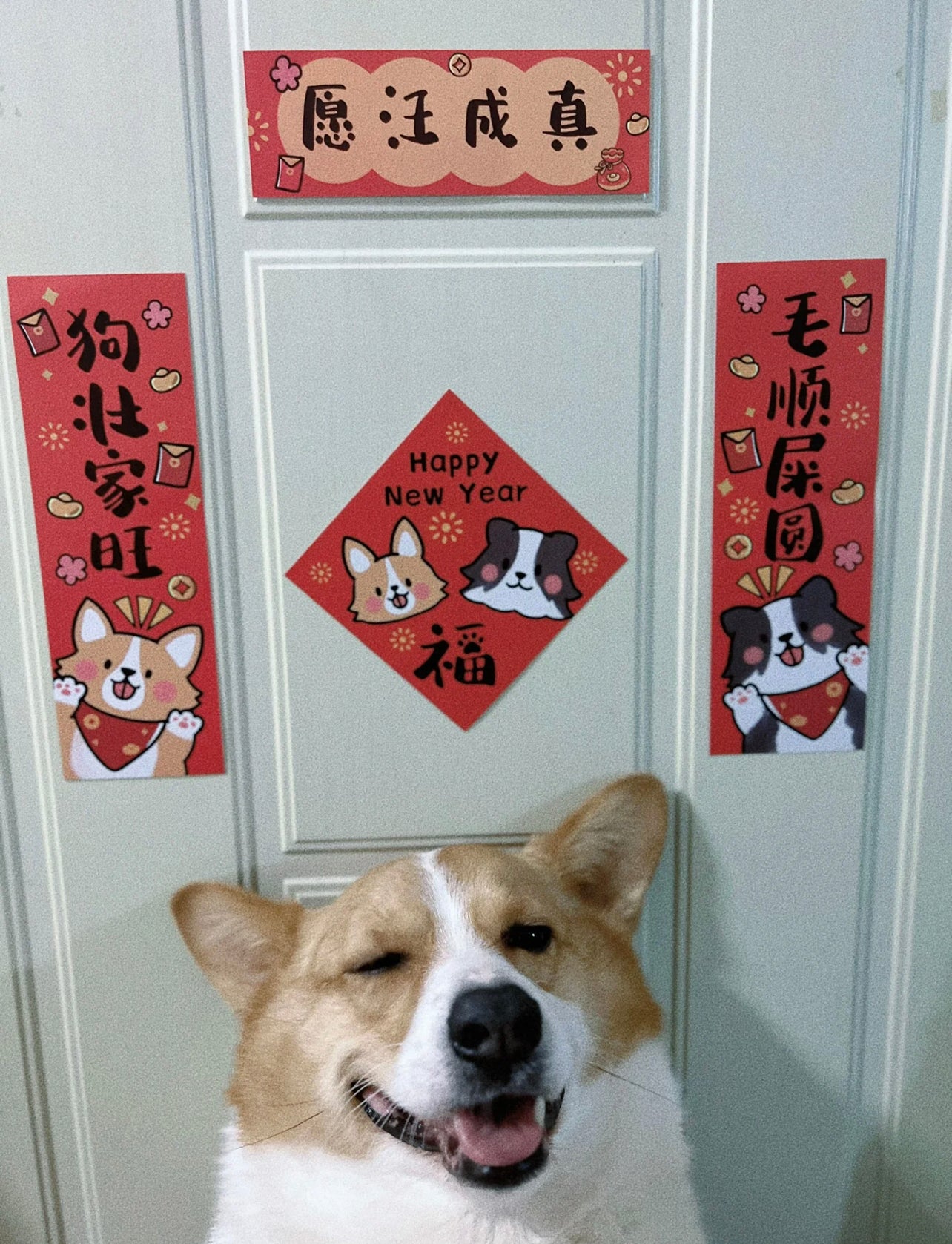 Pet-themed Chinese New Year couplets