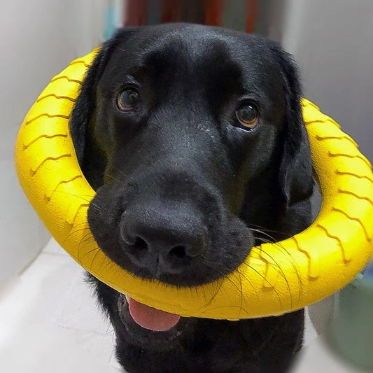 Large size dog ring toy