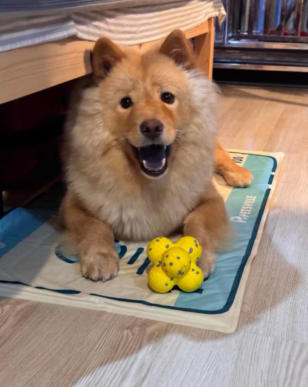 Dollar pet cooling mat