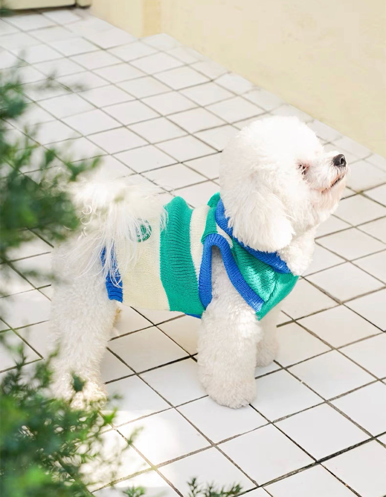 Pet Striped singlet