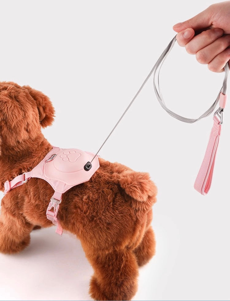 Colorful all in one pet harness