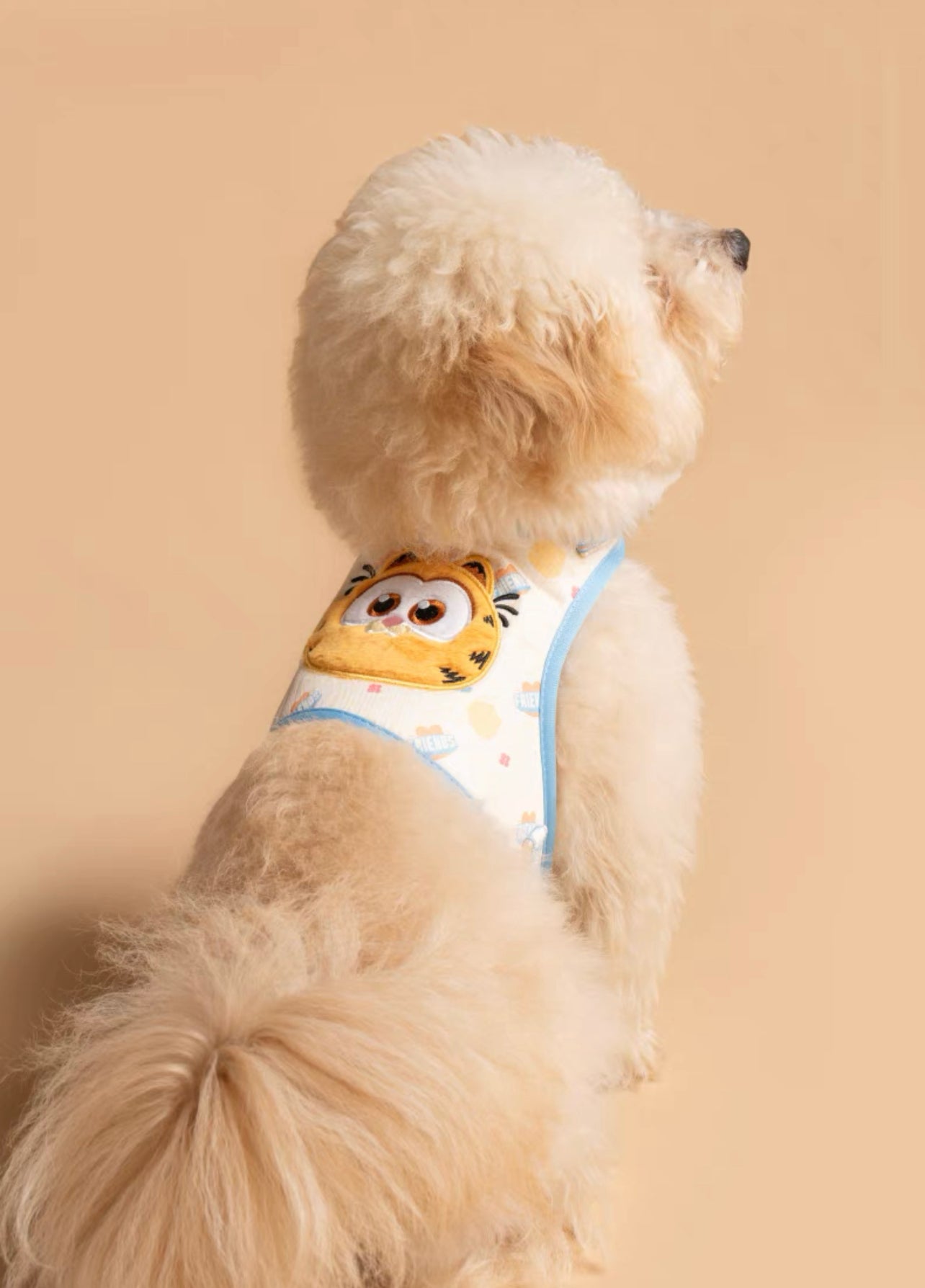 Garfield theme cat design pet harness & leash set