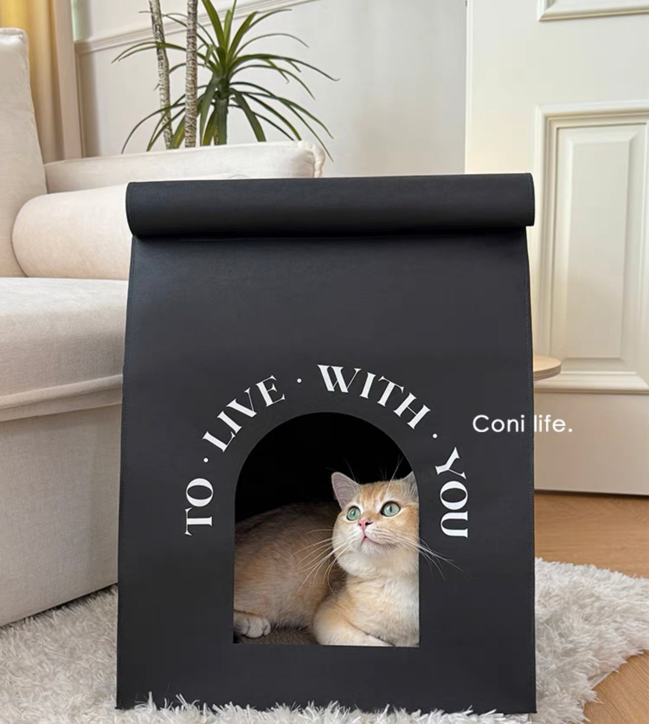 Purrfect hut