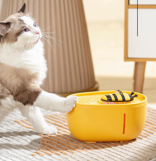 Honey Bee Water Fountain