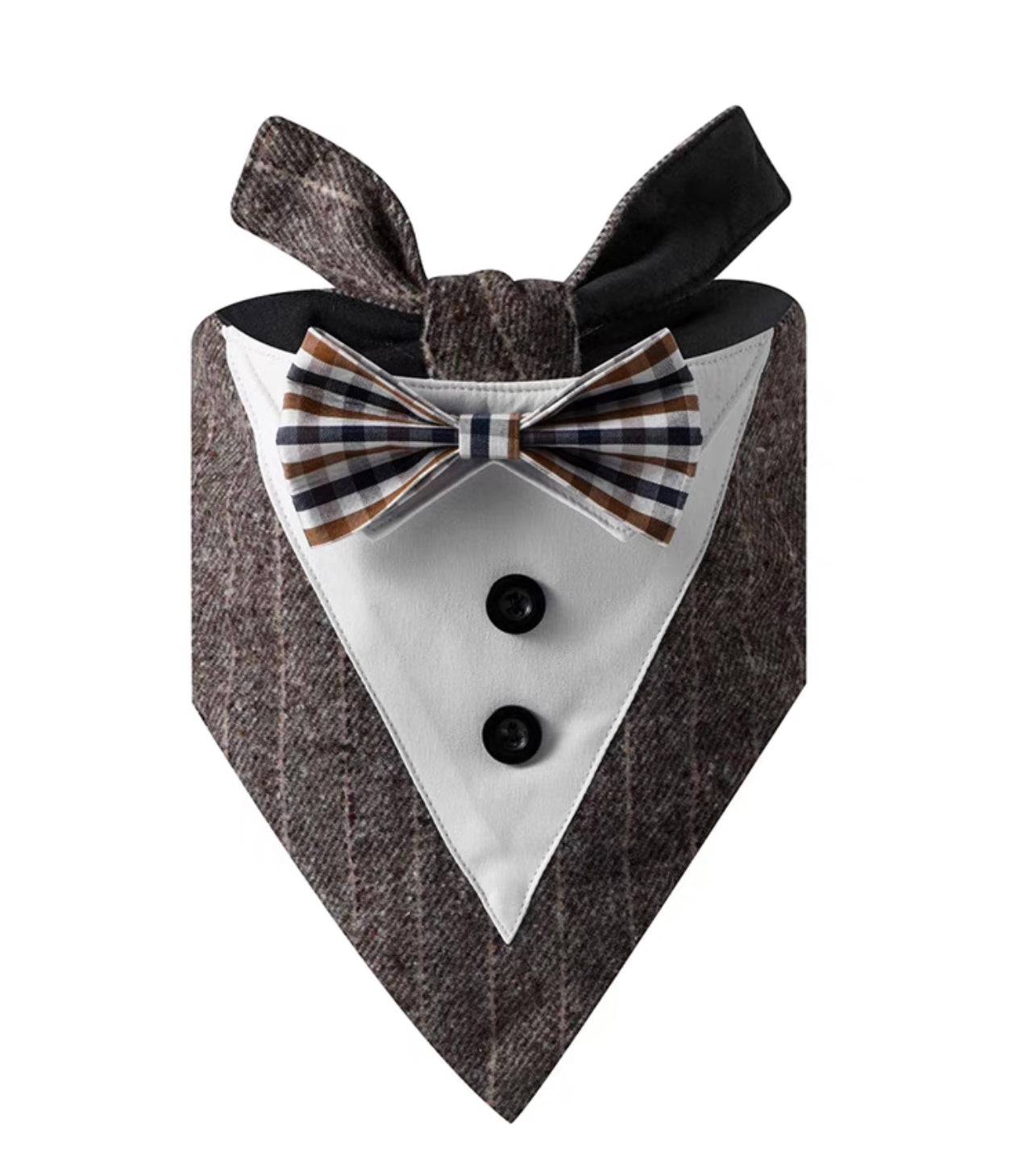 Elegant tuxedo collar