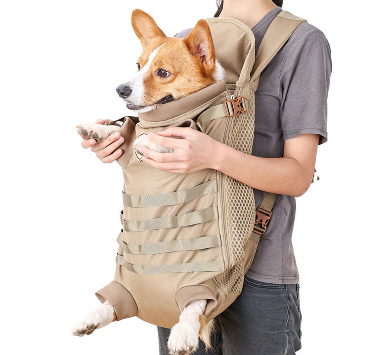 Pet carrier backpack