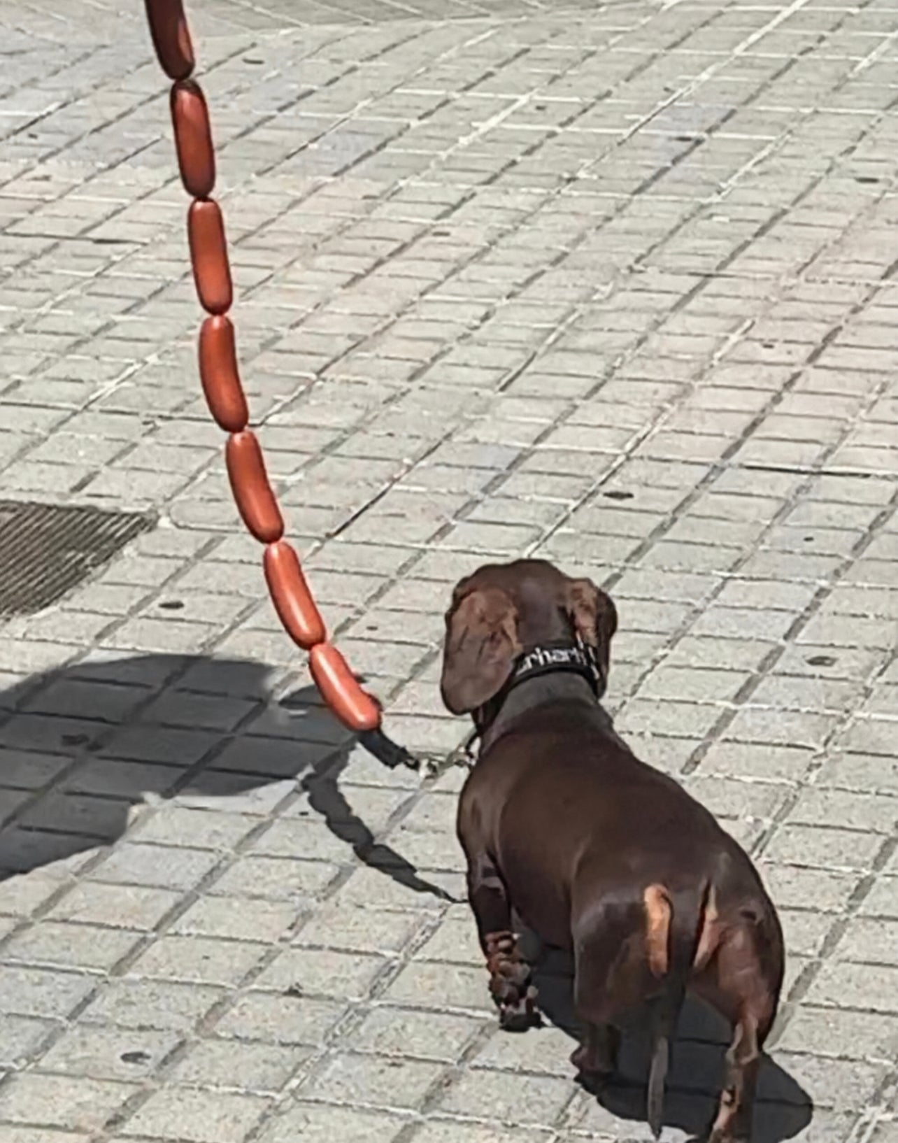 Sausage chain leash