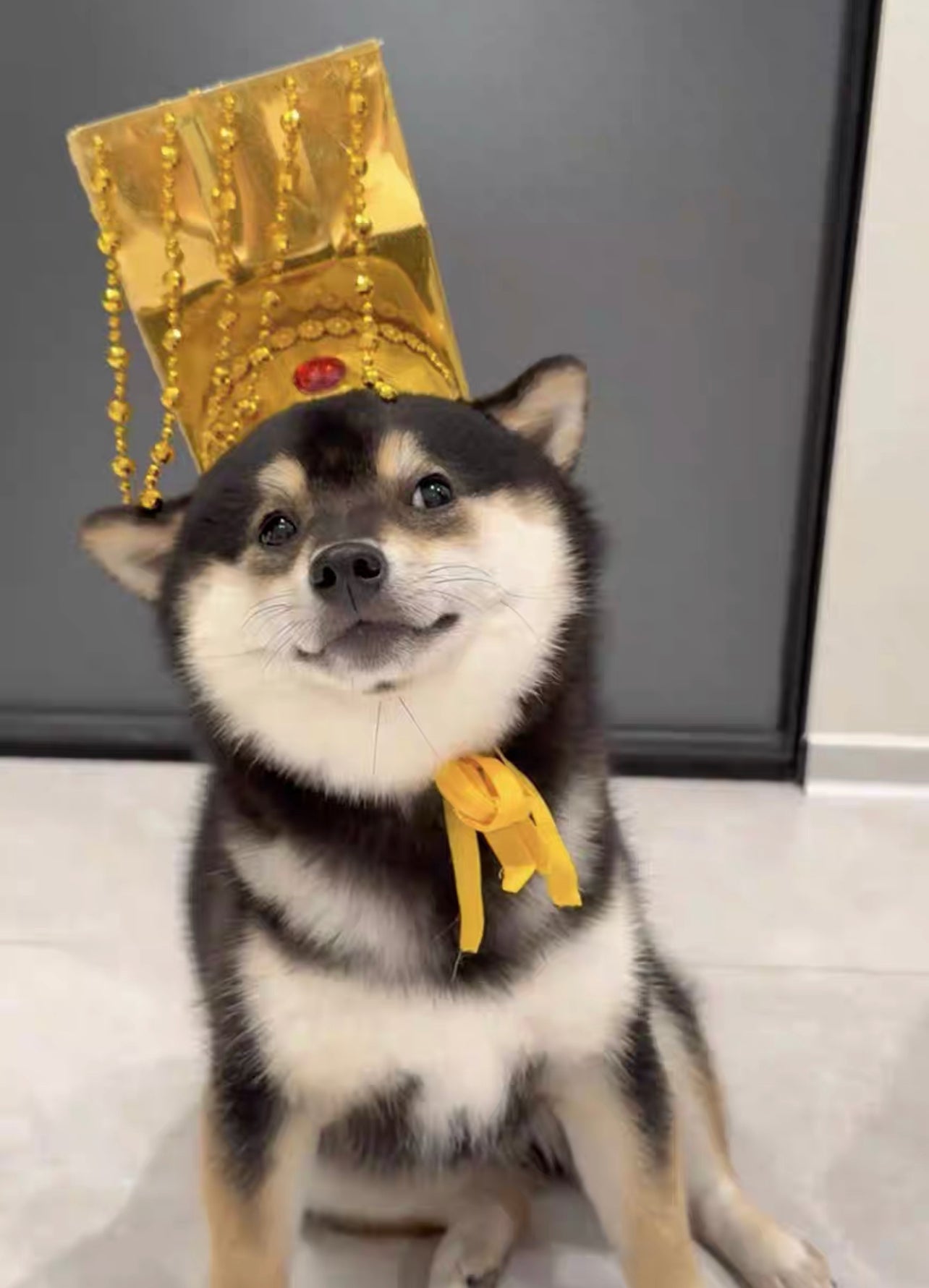 Emperor hat ( Free size)