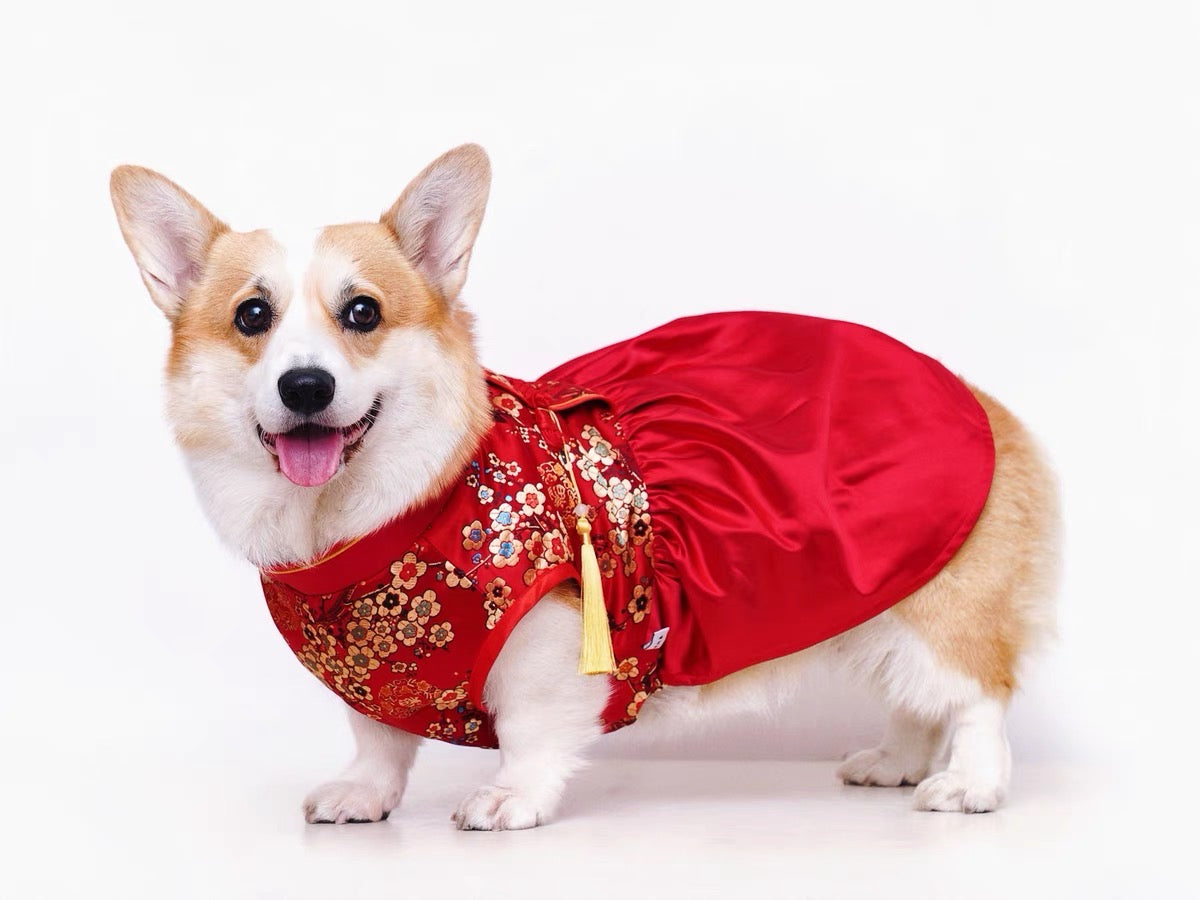 Red pet cheongsam