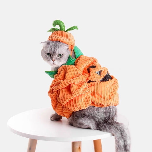 Pumpkin costume