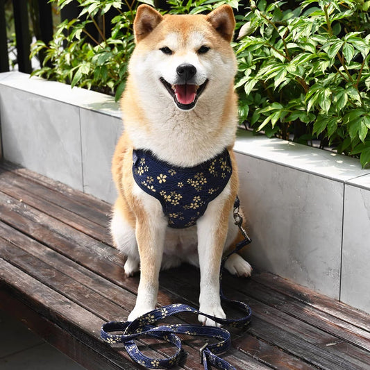 Elegant floral pet harness set
