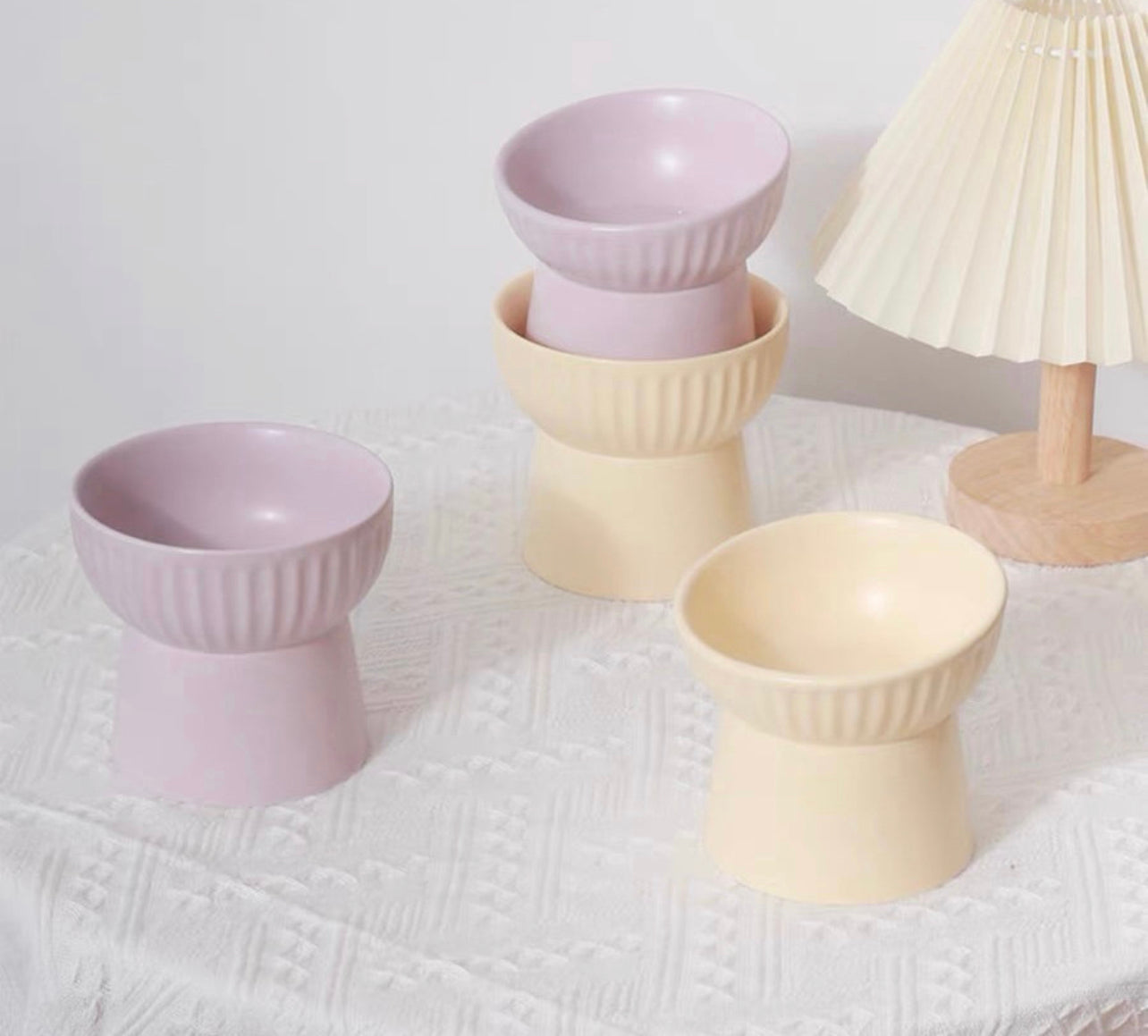 25 ° tilted Dreamy pet bowl
