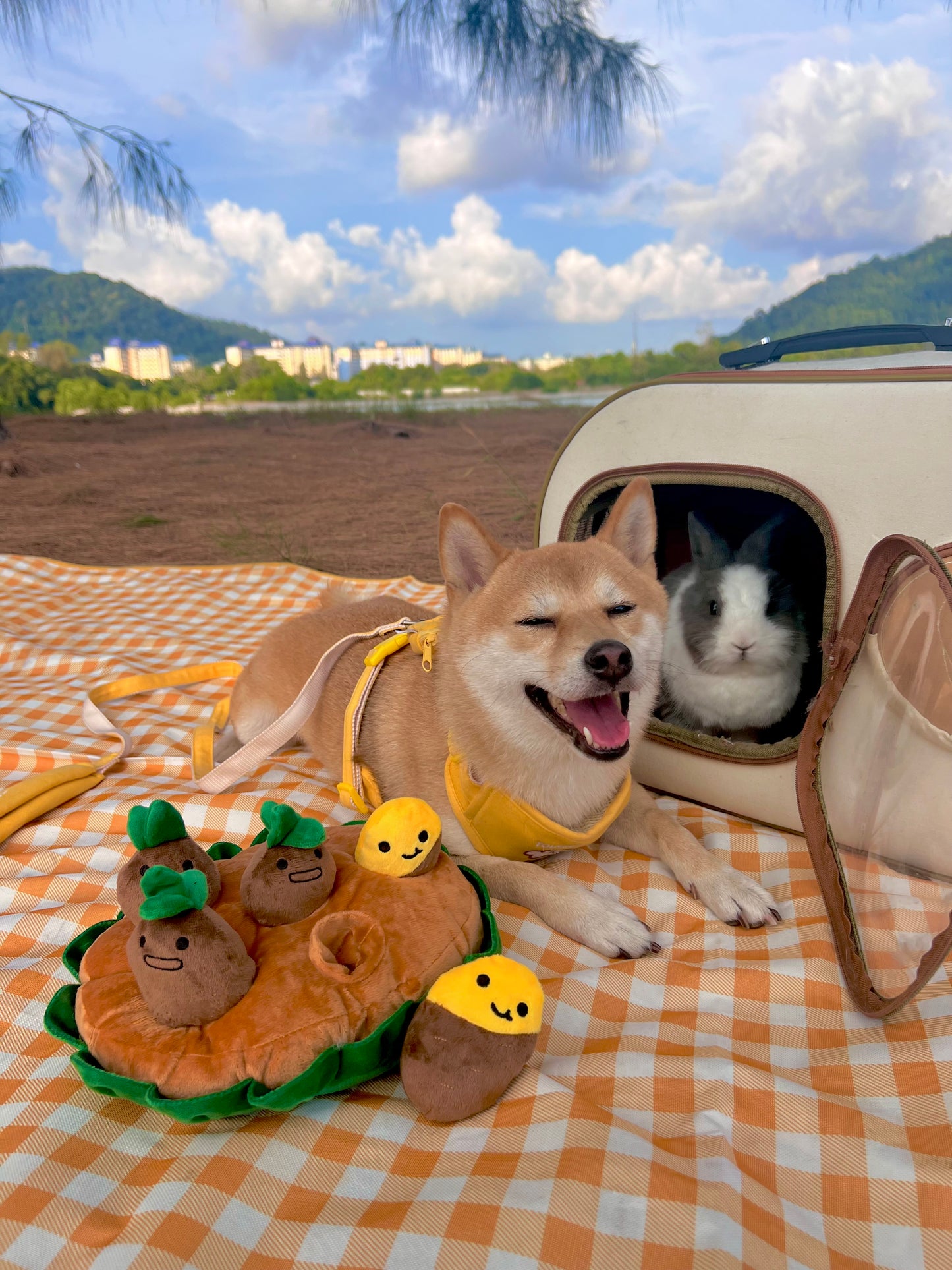 Potato Farm Toy Set