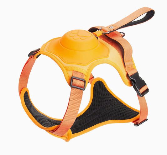 All in one pet harness