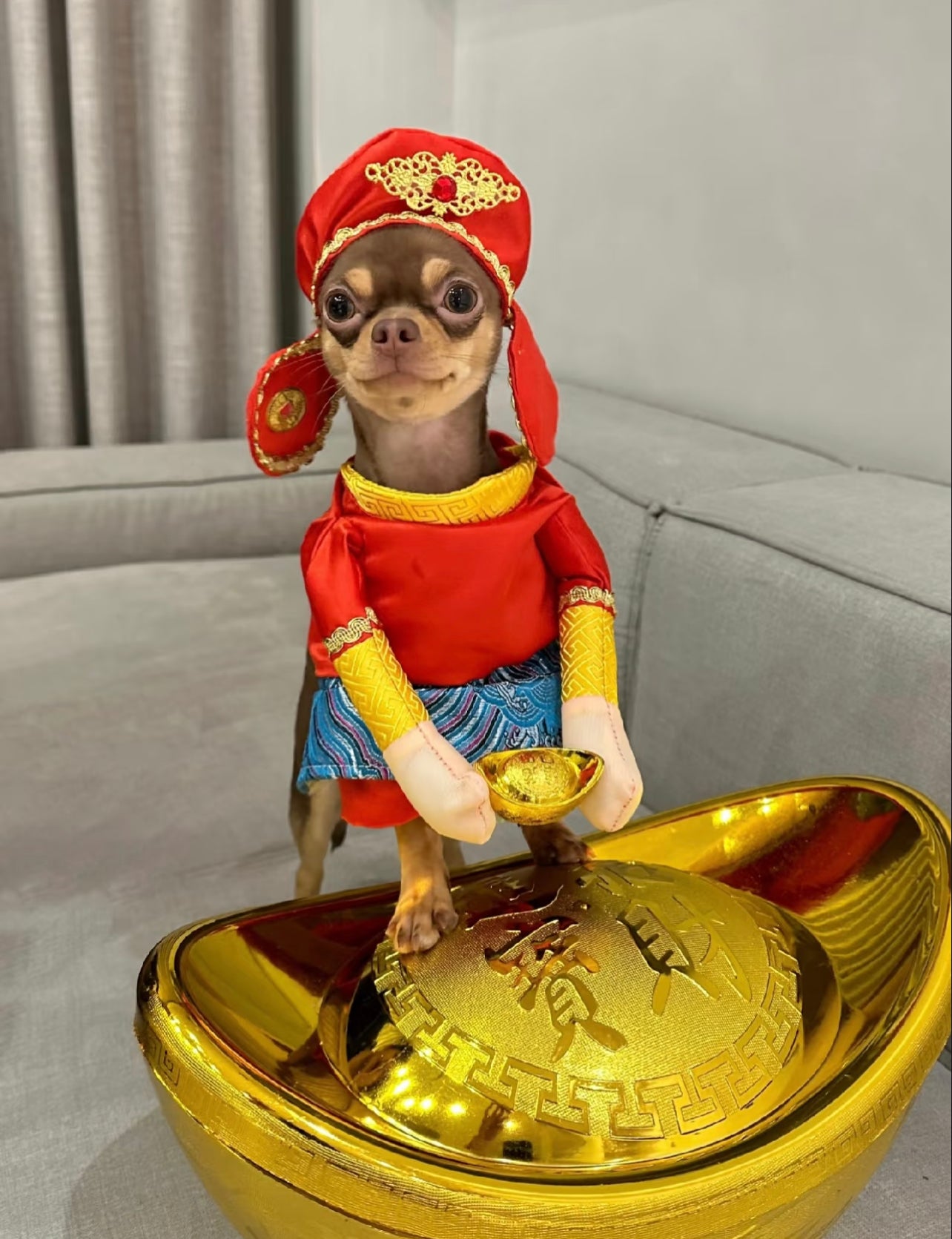 God of wealth costume