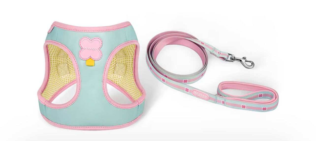 Pastel pet harness set