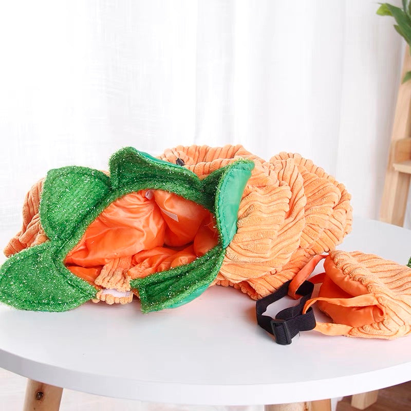 Pumpkin costume