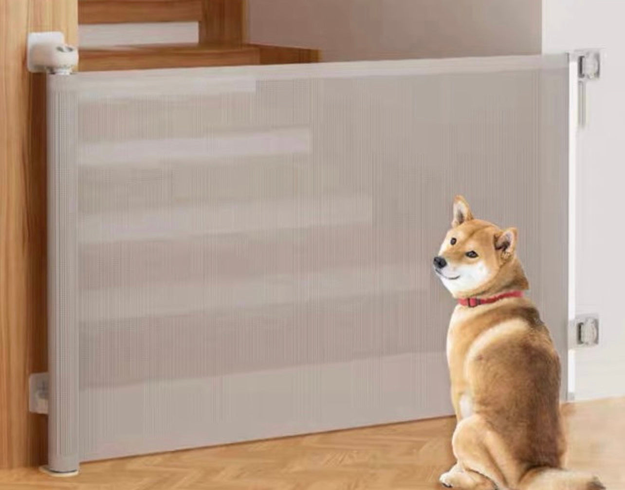 Multipurpose retractable gate