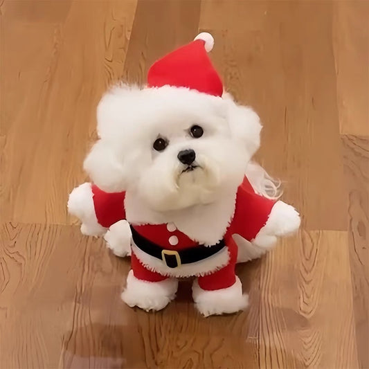 Santa paws costume