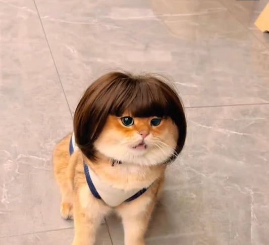 Funny wig