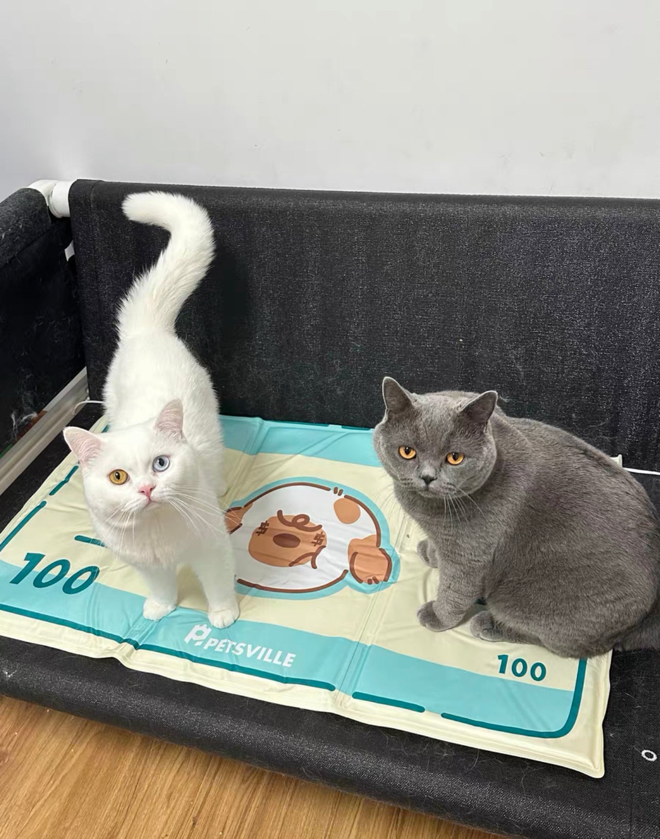 Dollar pet cooling mat