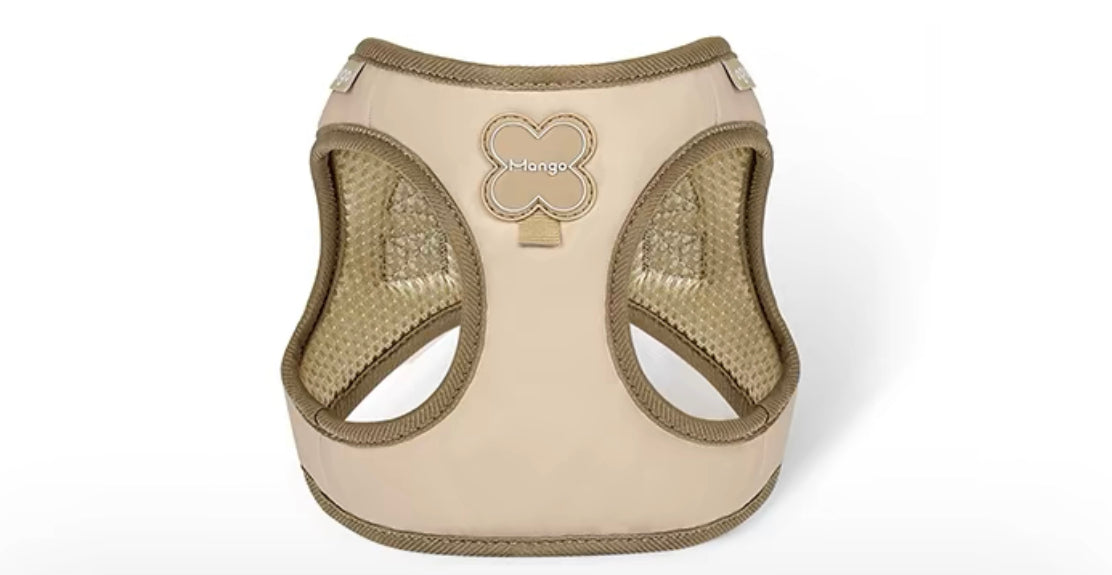 Pastel pet harness set