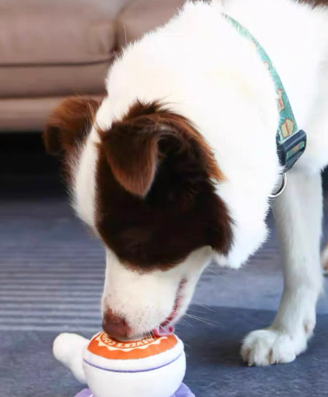 Coffee series pet chew toy