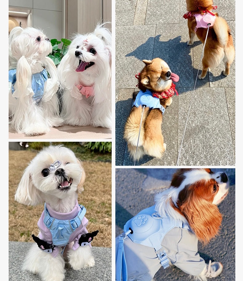 Colorful all in one pet harness