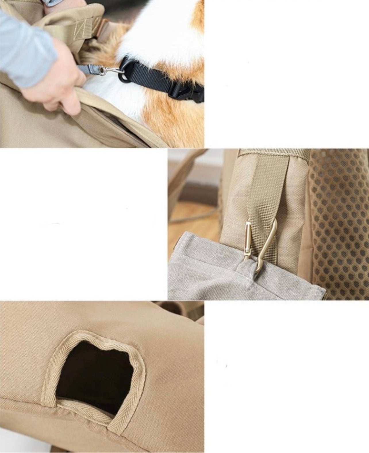 Pet carrier backpack