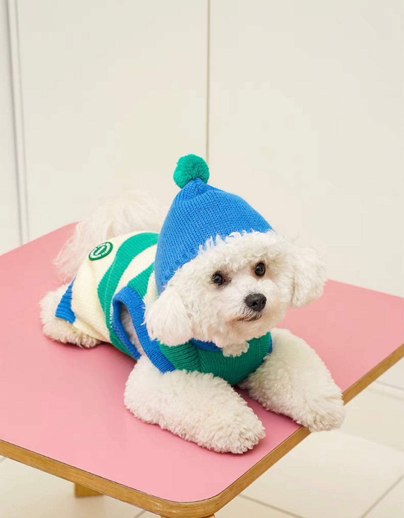 Pet Striped singlet