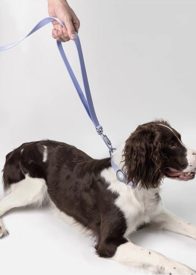 Premium Light Alloy Leash