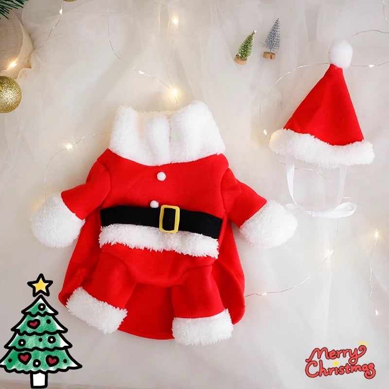 Santa paws costume