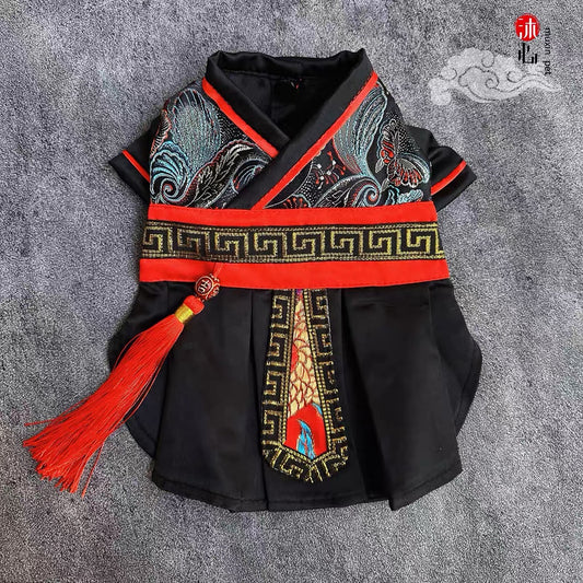 Black knight costume